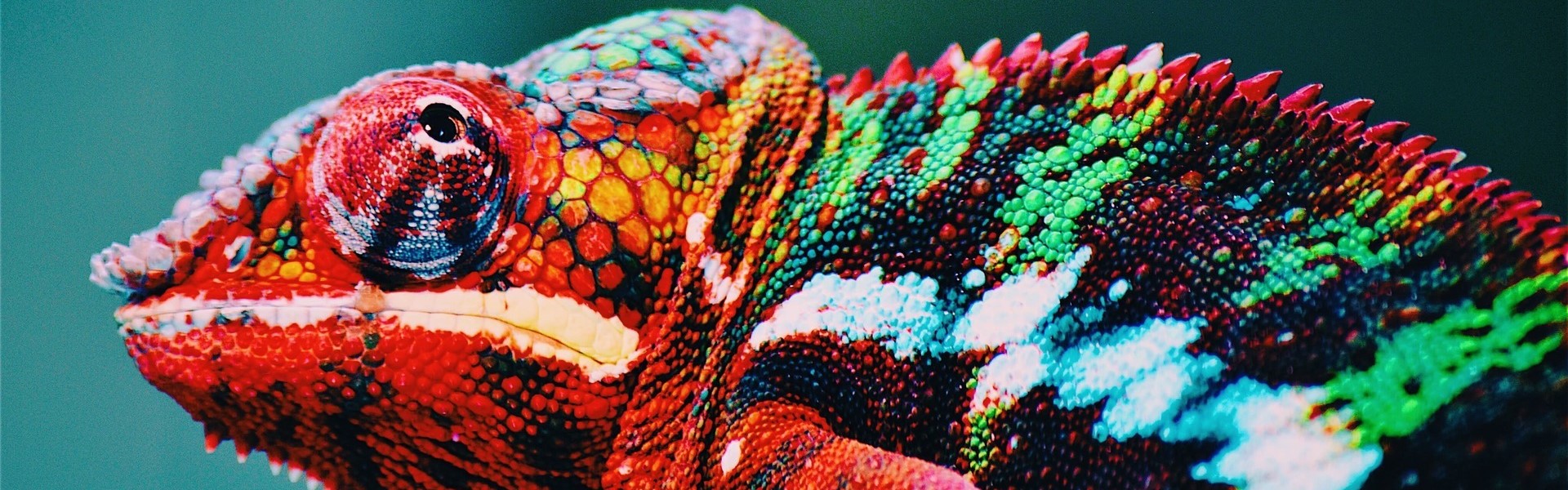 Herzlich Willkommen! Herzlich Willkommen!